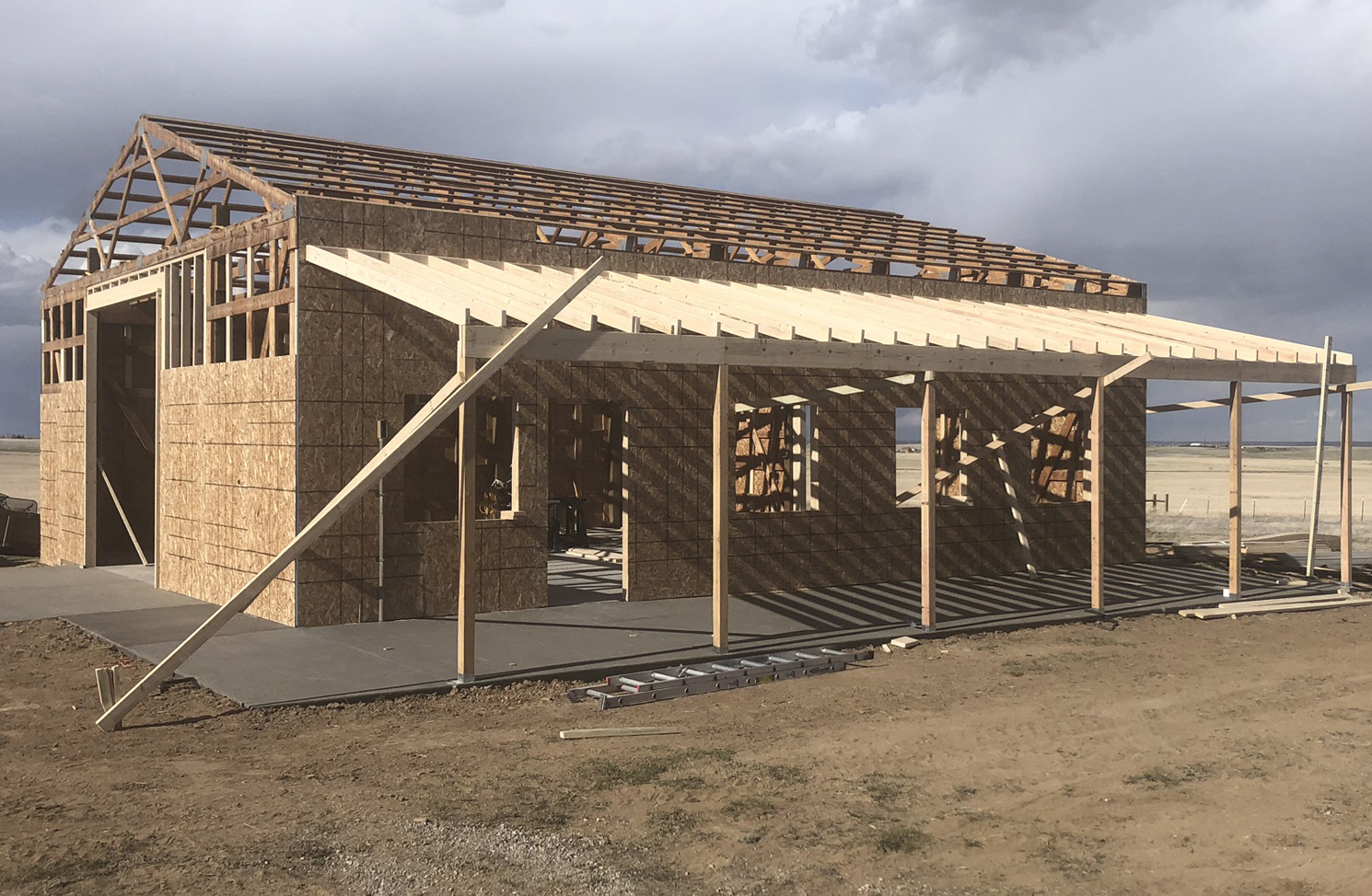 Hammerhead project 6